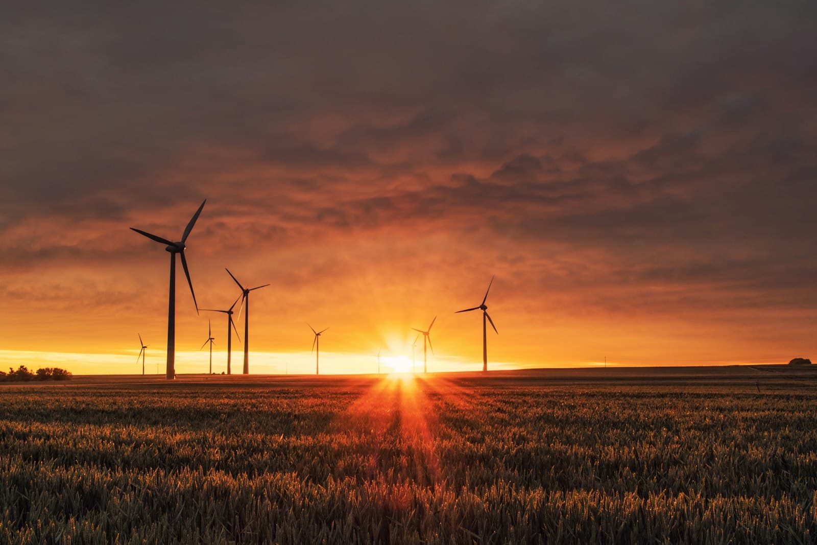 Wind turbines at a renewable energy project site